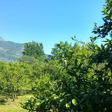 Hébergement de vacances Lola Podgorica
